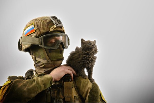 Российский солдат с котом