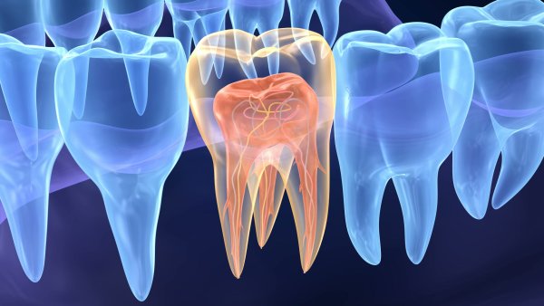 Изображение зуба