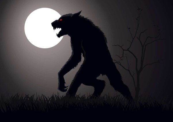 Волк оборотень Werewolf