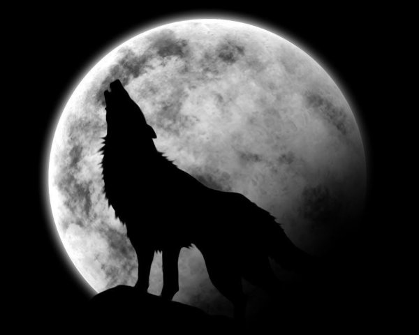 Силуэт волка воющего на луну