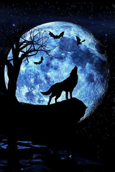 Одинокий волк на фоне луны
