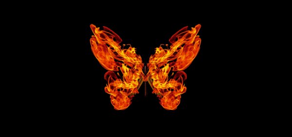 Огненные Крылья бабочки