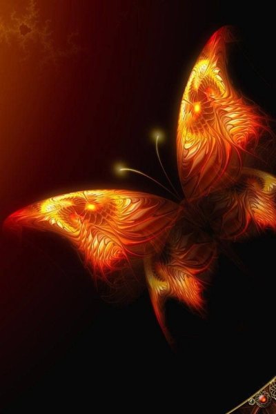 Огненная бабочка