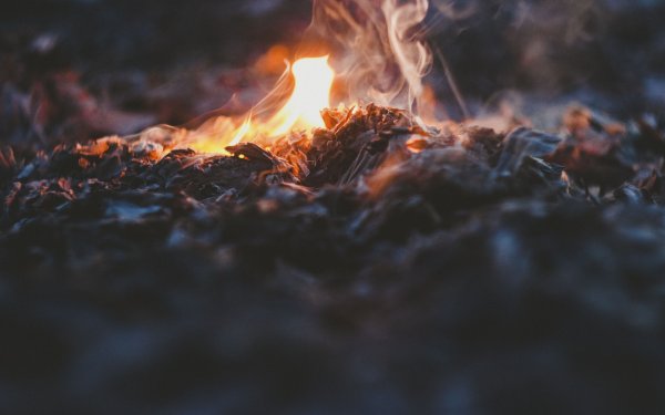 Огонь и пепел