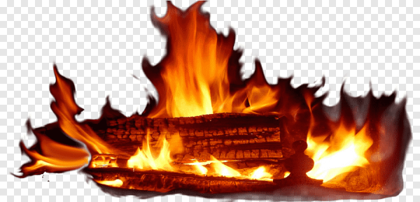 Огонь с дровами на прозрачном фоне