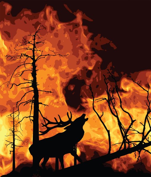 Огненный олень в лесу