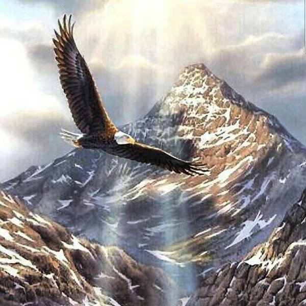 Орел на фоне гор