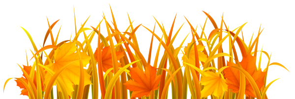 Оранжевая трава