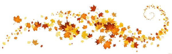 Осенний листок на прозрачном фоне