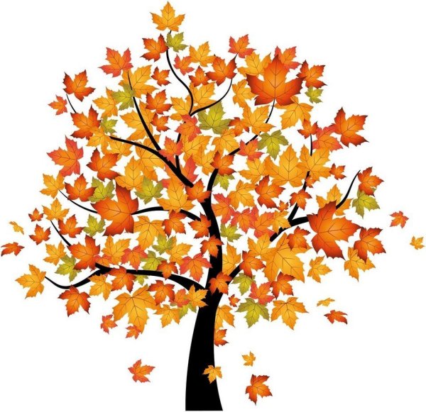 Осеннее дерево для детей на белом фоне
