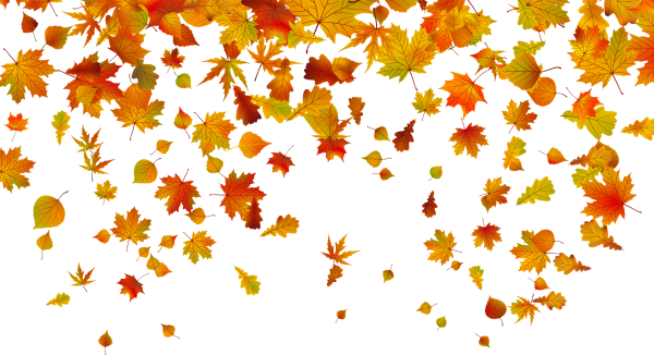 Осенние листочки