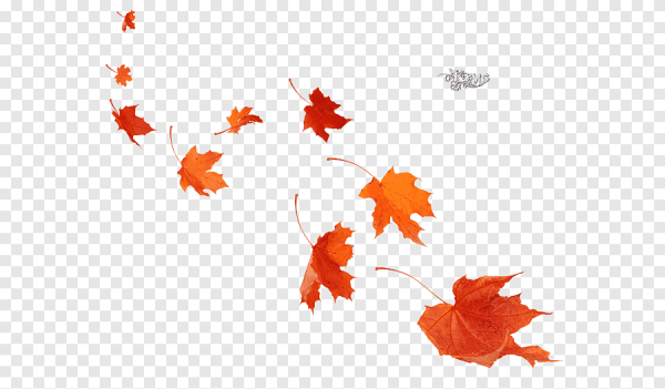 Падающие осенние листья на белом фоне