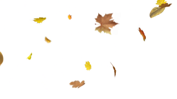 Падающие листья на белом фоне