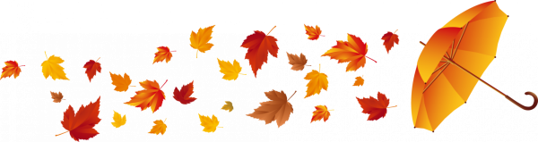 Осень листья на прозрачном фоне