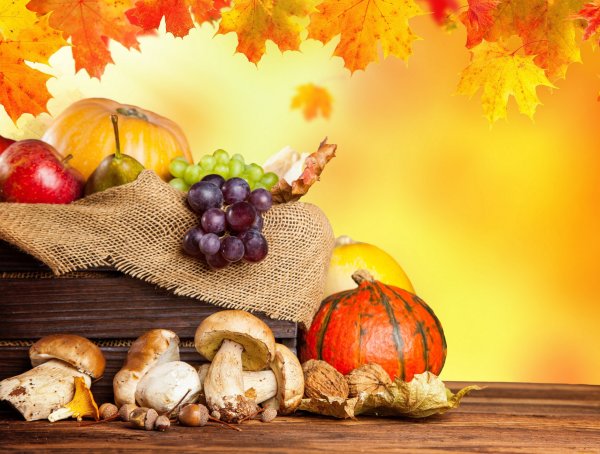 Осенние продукты на столе