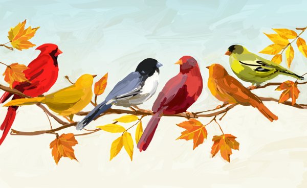 Птицы осенью для дошкольников