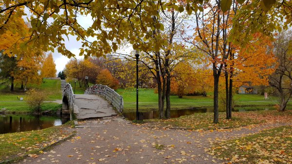 Осенний фон в парке