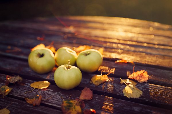 Осенняя Эстетика яблоки