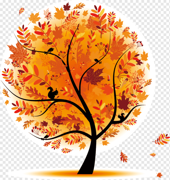 Осеннее дерево на прозрачном фоне