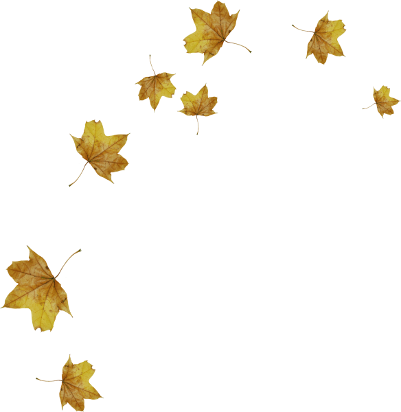 Падающие листья на прозрачном фоне
