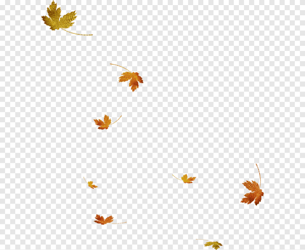 Осенний листопад на прозрачном фоне