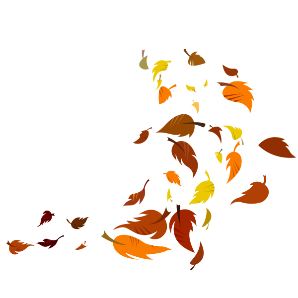 Клипарт осенние листья на прозрачном фоне
