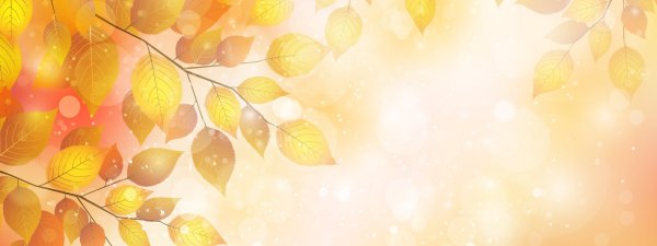 Осенний однотонный фон