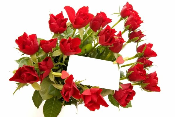 Открытки с днем рождения розы на белом фоне