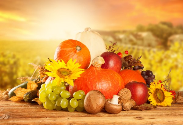 Овощи и фрукты осенью