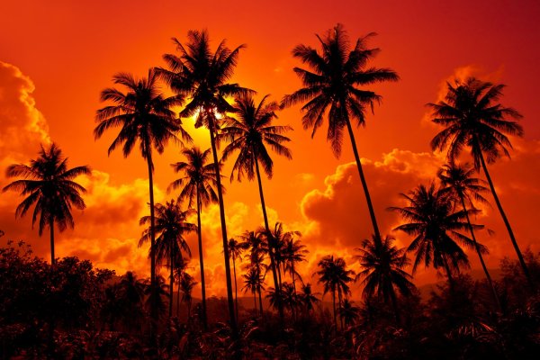 Тропический пляж закат