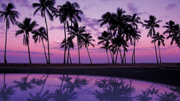 Пляж фиолетовый закат