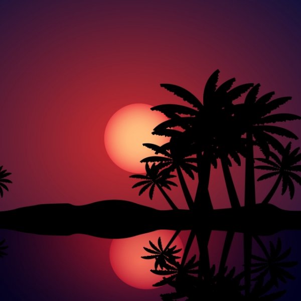 Ночные пейзажи с пальмами