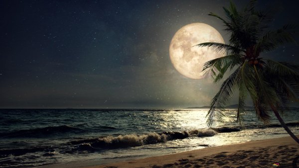 Океан ночь Луна
