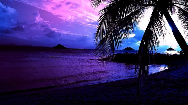 Фиолетовый пляж