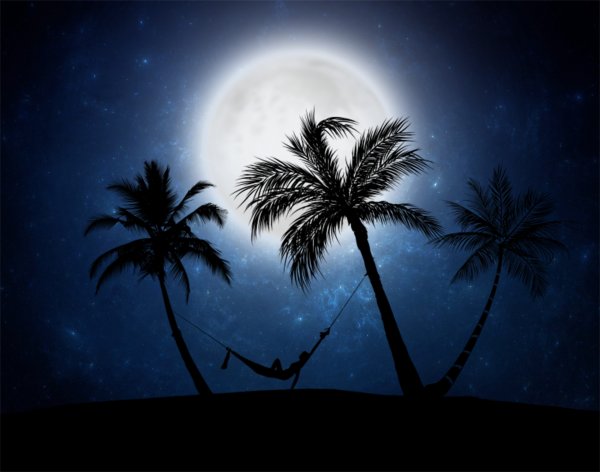 Пляж пальмы ночь