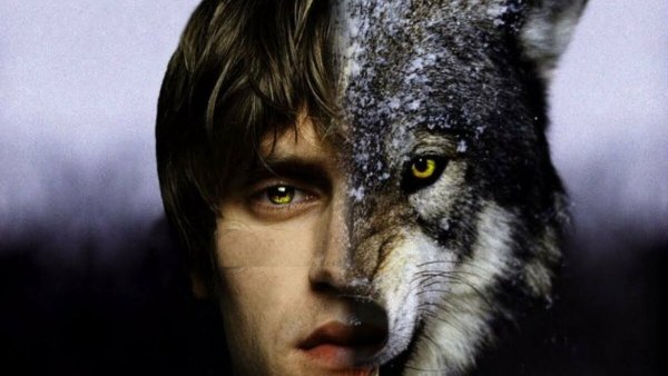 Человек-волк 2010 оборотень