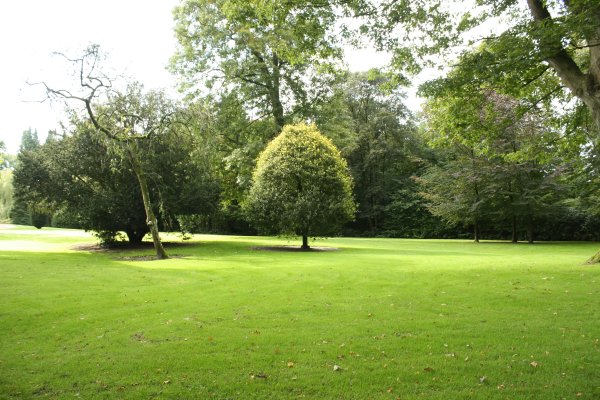 Лужайка в парке