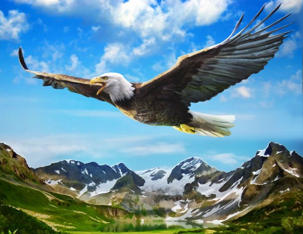 Парящий орел на фоне гор