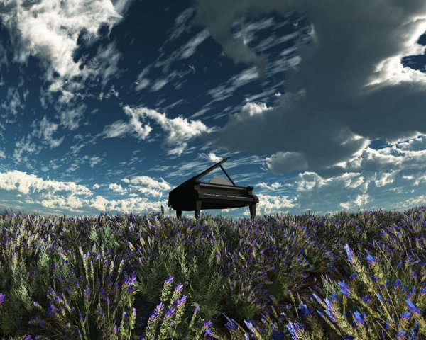 Пианино в поле