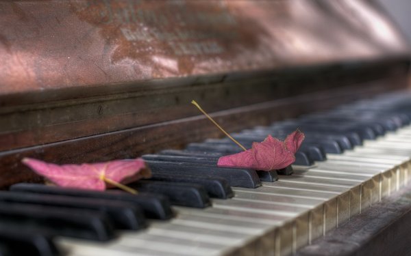 Пианино и осенние листья