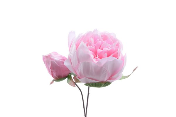 Искусственные цветы пионовидная роза