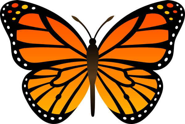 Бабочка Монарх оранжевый