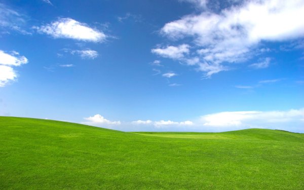 Зеленое поле голубое небо