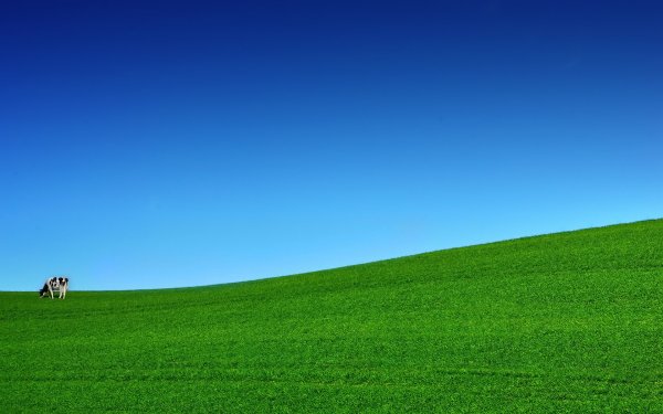 Зеленое поле голубое небо