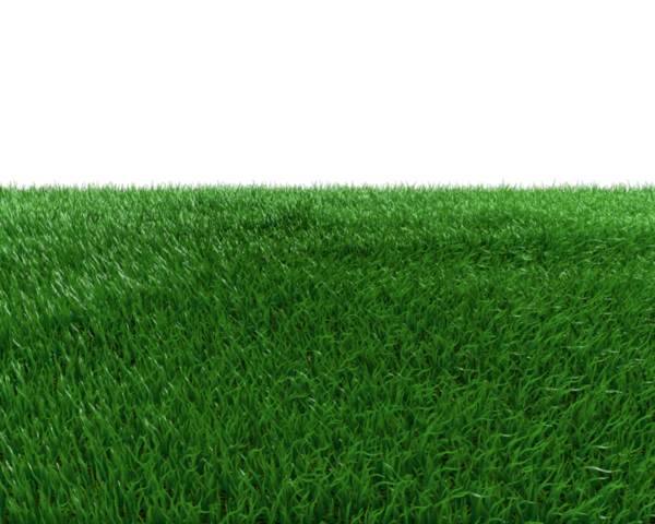 Зеленая трава газон