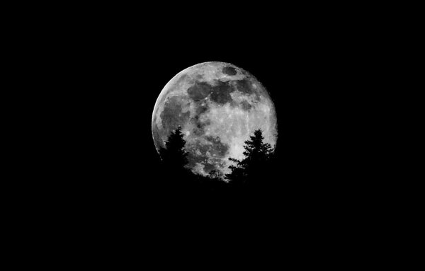 Луна на темном фоне