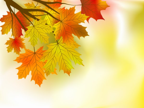 Поздравляем на фоне осенних листьев
