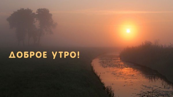 Доброе туманное утро