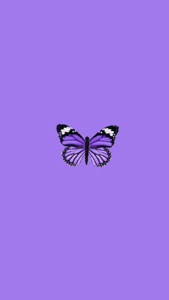 Красивый фон фиолетовый с бабочками