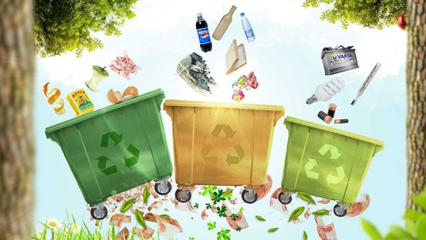 Экология мусор